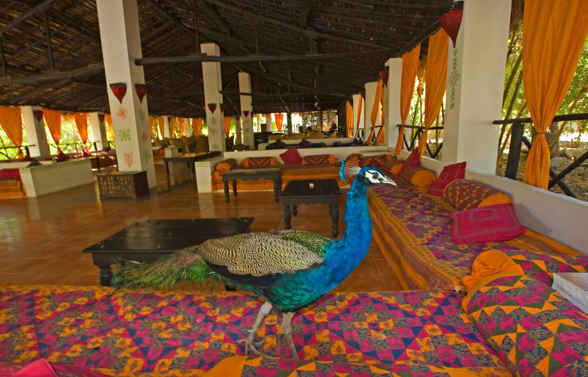Rann Riders Hotel Dasada Exterior photo